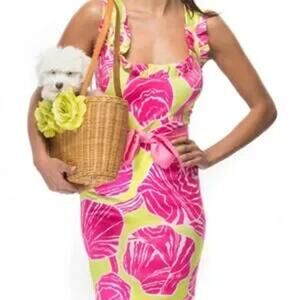 Gretchen Scott Girly Girl Dress  Sz MED Preppy Colorful Spring NO BELT